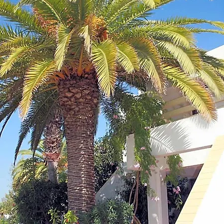 Capitalmoura Mouragolf Village 3* Benfarras